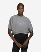 Nike NSW Short Sleeve Fleece Crew HJ0224-091 Grey 1