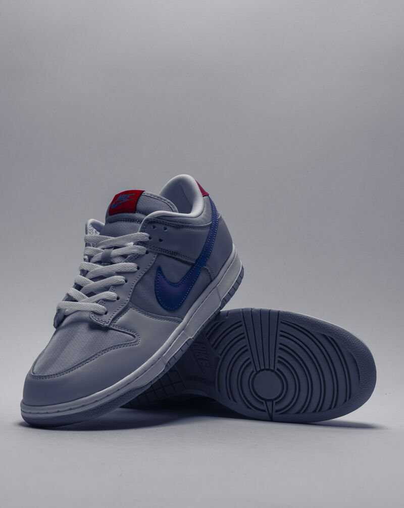 Nike Dunk Low HF0391-001 Grey 6