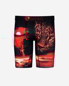 Dark Safari Briefs