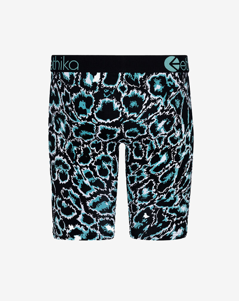 Ethika Grade School BMR Really Shiesty Briefs  BLST3576 Multi 3