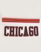 PRO STANDARD Chicago Bulls Retro Classic Rib Wool Varsity Jacket BCBH56213-ERD cream 4