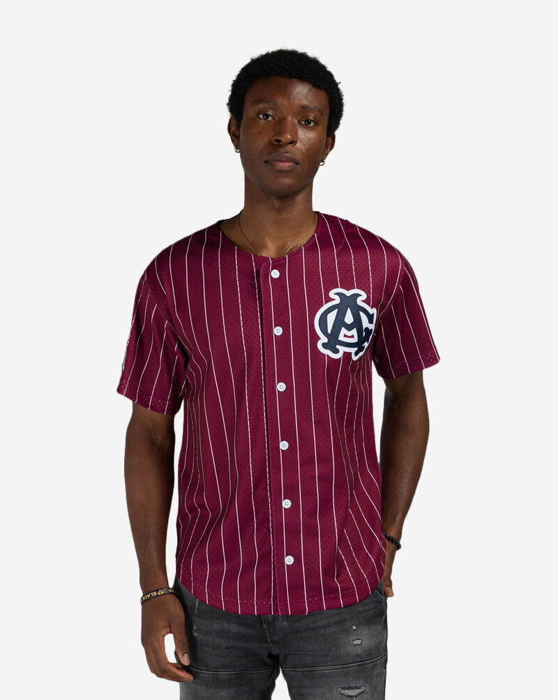 Mitchell  Ness Chicago American Giants Luis Robert Jr. Authentic Batting Practice Pinstripes Jersey JY19328-CAMMAWH Red 1