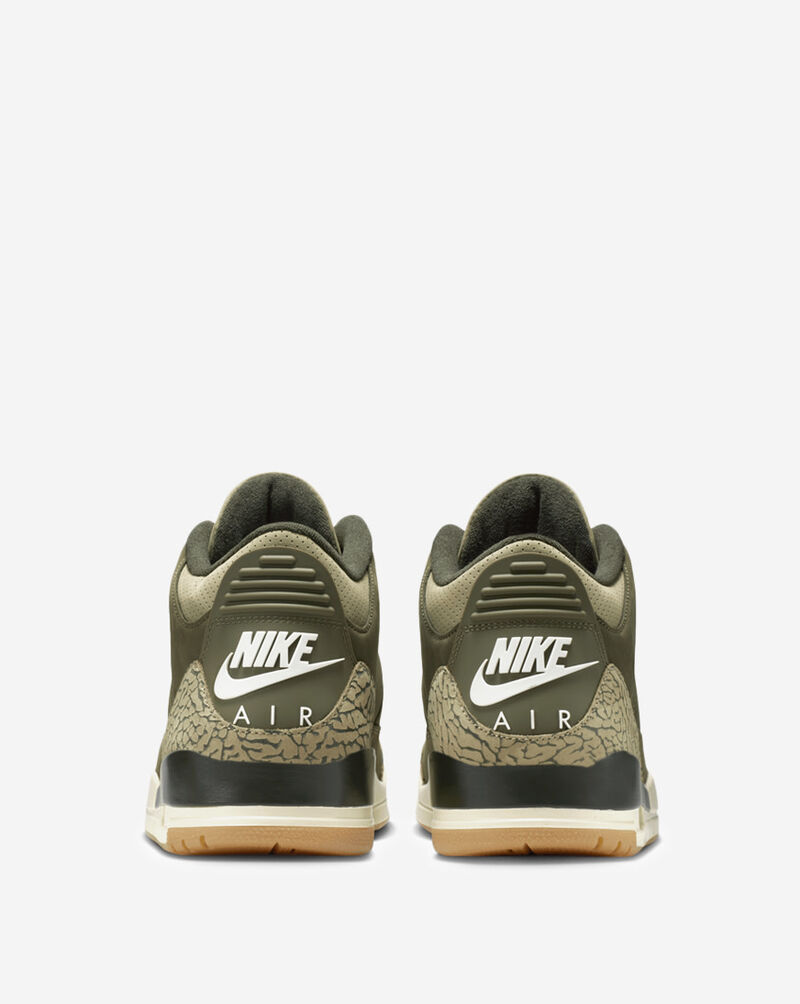 Jordan Air Jordan 3 Retro DN3707-202 Green 4