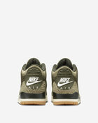 Jordan Air Jordan 3 Retro DN3707-202 Green 4