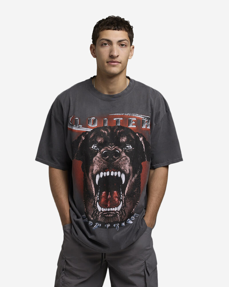 Loiter Dog House Vintage Acid Spray Tee LTIDOGHSEVINT-GRY Grey 1