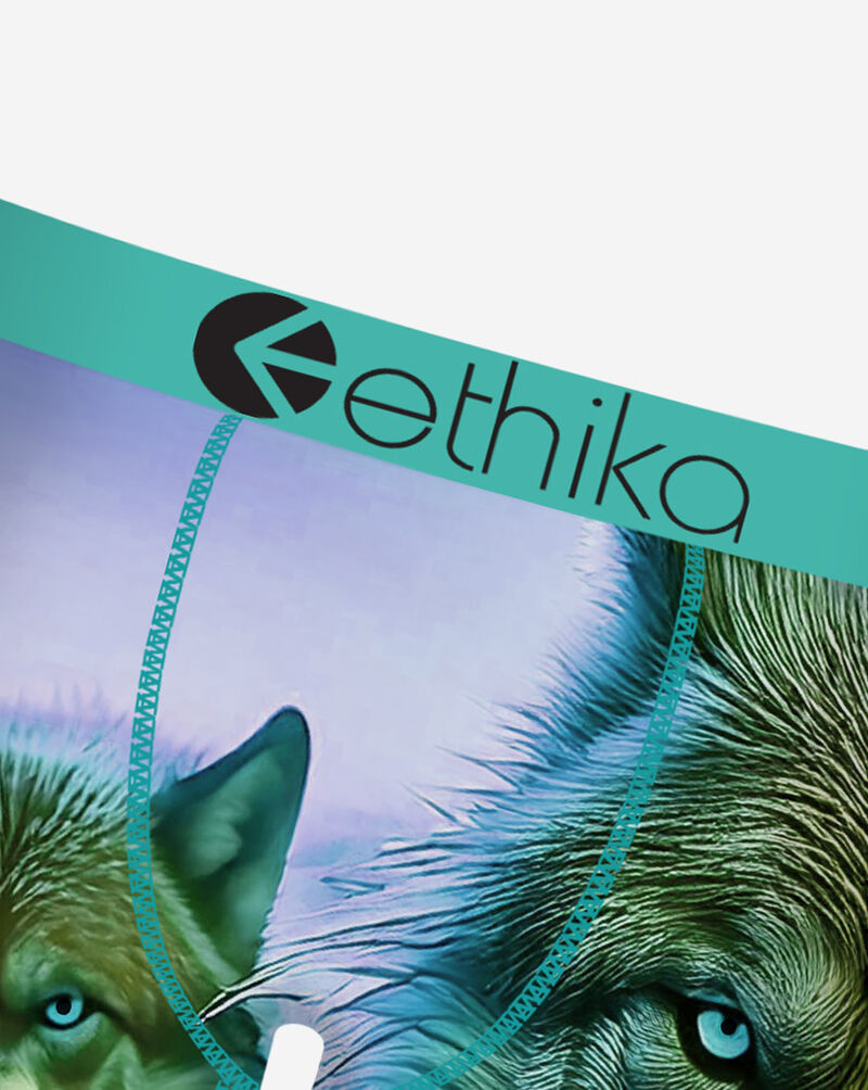 Ethika Sierra Briefs  MLUS3607 Multi 2