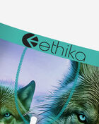 Ethika Sierra Briefs  MLUS3607 Multi 2