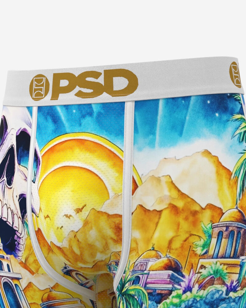 PSD Casa De PSD Boxer Briefs  326180065 Multi 2