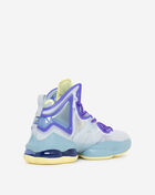 Grade School Lebron 19