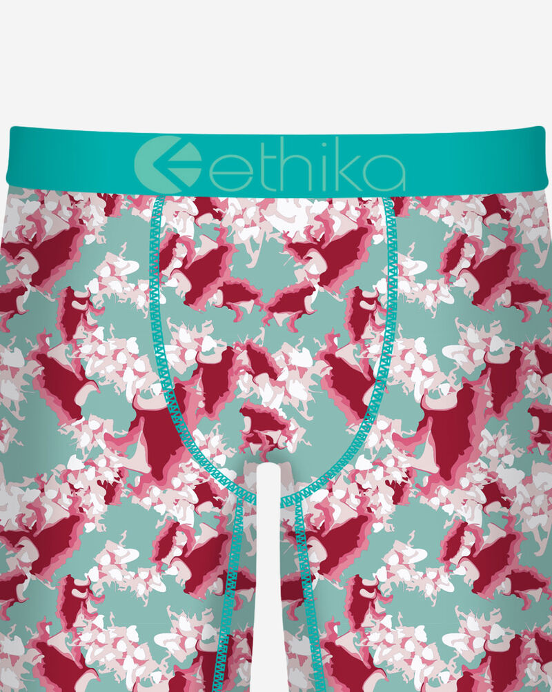 Ethika In Bloom Briefs MFAAAI2507 Multi 2