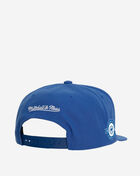 Chicago Cubs MLB Back to Basics Snapback Hat