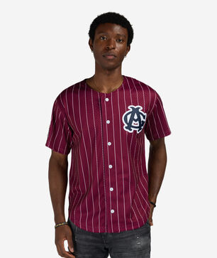 Chicago American Giants Luis Robert Jr. Authentic Batting Practice Pinstripes Jersey