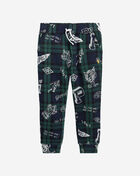 Plaid Fleece Graphic Jogger Pant