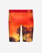 Kotj Briefs