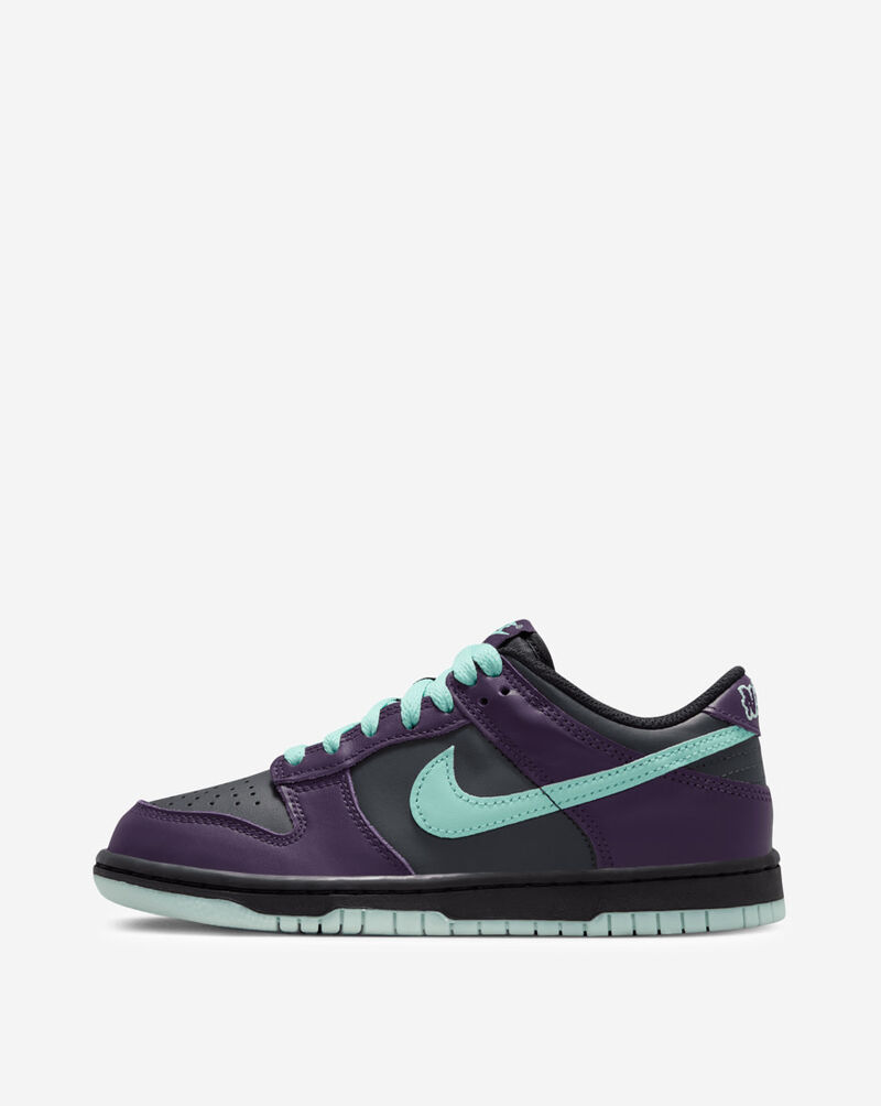 Nike Big Kids' Dunk Low FB9109-013 Grey 1