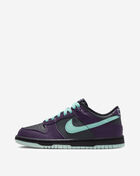 Nike Big Kids' Dunk Low FB9109-013 Grey 1