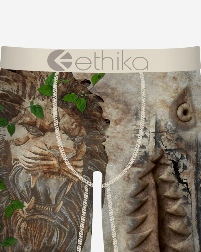 Ethika BMR In Stone Briefs MFAAAI2601 Multi 2