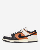 Nike Dunk Low Retro HQ4988-030 Black 1