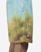 East Side Golf Paradise Walk On Shorts EGMU6003-MULTI Multi 3