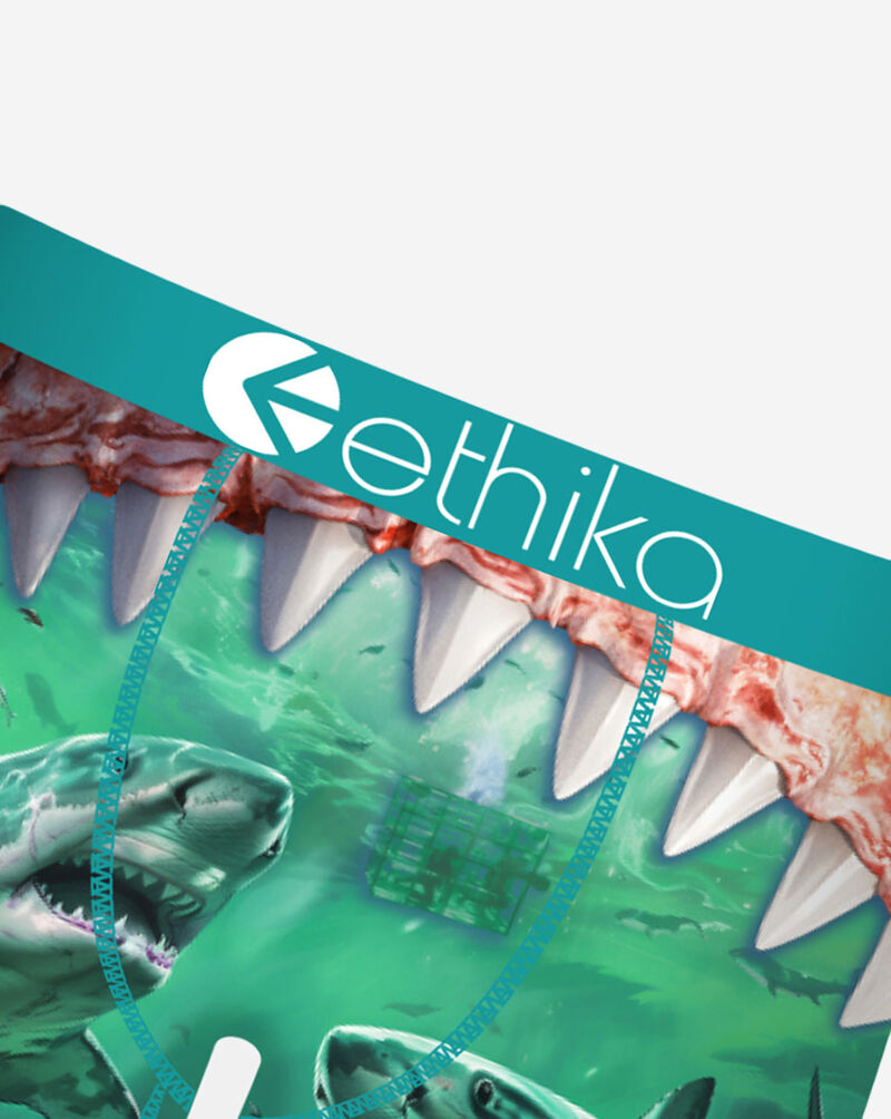 Ethika Grade School Food Chain Briefs BLST3595 Multi 2