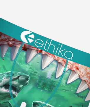 Grade School Food Chain Briefs