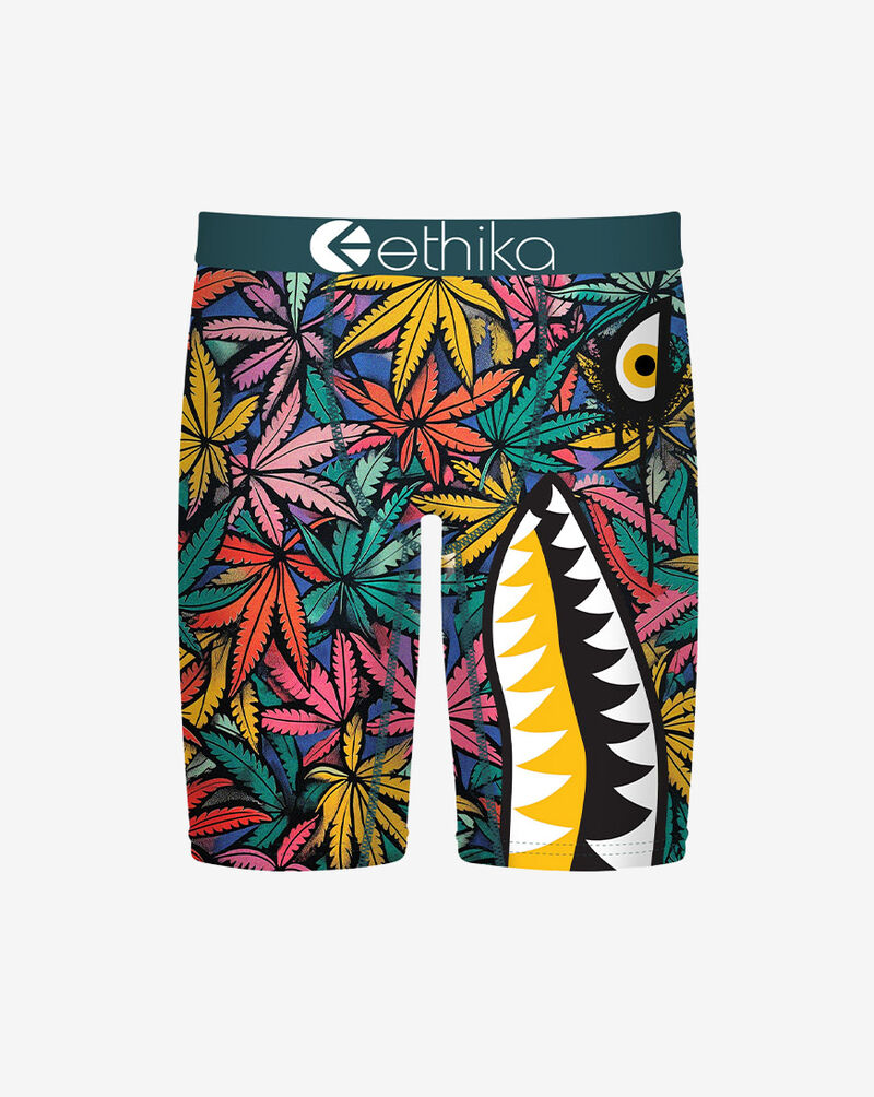 Ethika Briefs MLUS3616 Multi 1