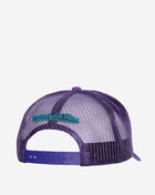 Charlotte Hornets NBA Billboard Trucker Snapback
