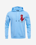 PRO STANDARD St. Louis Cardinals Classic Chenille Double Knit Pull Over Hoodie  LSC531625-UNI Blue 1