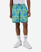 Nike Airbrush 7" Fully Lined Swim Shorts NESSG531-434 Blue 1