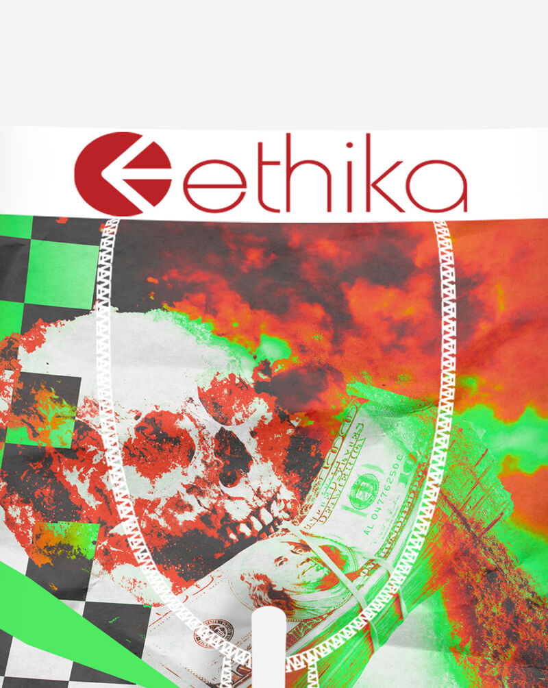 Ethika Cat Boyz Briefs MHOAAK2502 Multi 2