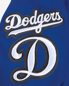 PRO STANDARD Los Angeles Dodgers Classic Chenille Double Knit Full-Zip Hoodie LLD531899-DBL Blue 4