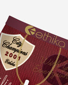 Ethika Universit-E Briefs  MLUS3589 Multi 3