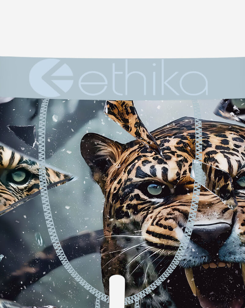 Ethika Shatter Cat Briefs MFAAAI2513 Multi 2