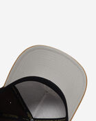 Mitchell  Ness Philadelphia Phillies Pro Pinch Lux Chain Snapback Hat HP18073-PPHBRTN Brown 4