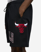 PRO STANDARD Chicago Bulls Mesh Shorts BCB353899-BLK Black 3