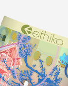 Ethika Grade School BMR Sakura Briefs BLST3586 Multi 2