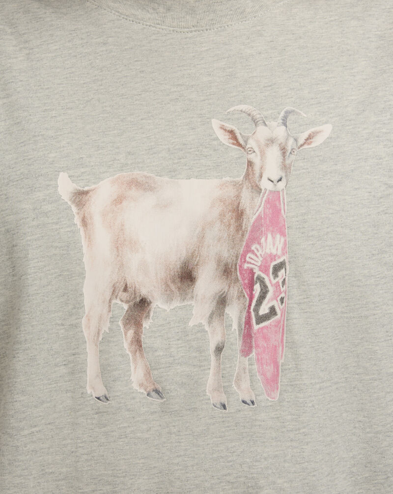 Jordan Goat Tee IF0786-050 Grey 3