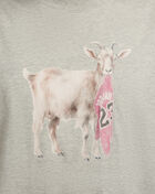 Jordan Goat Tee IF0786-050 Grey 3
