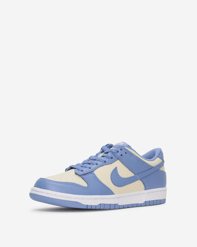Big Kids' Dunk Low