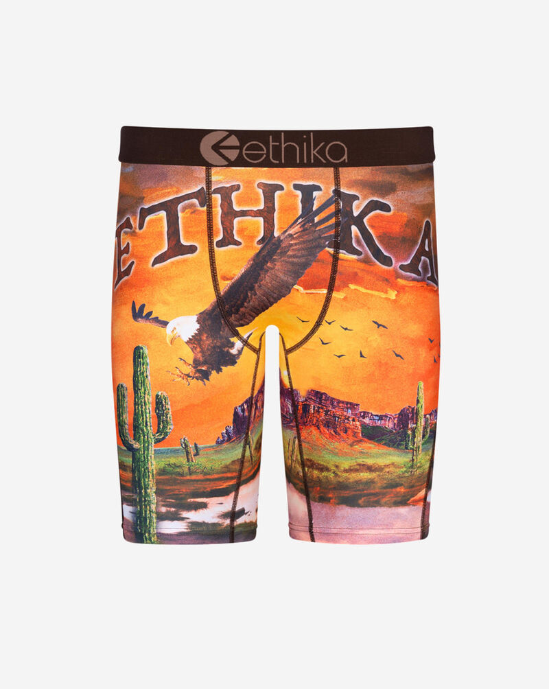 Ethika Sedona Night Briefs MLUS3418 Multi 1