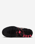 Nike Air Max Plus Drift FV4081-002 Grey 4