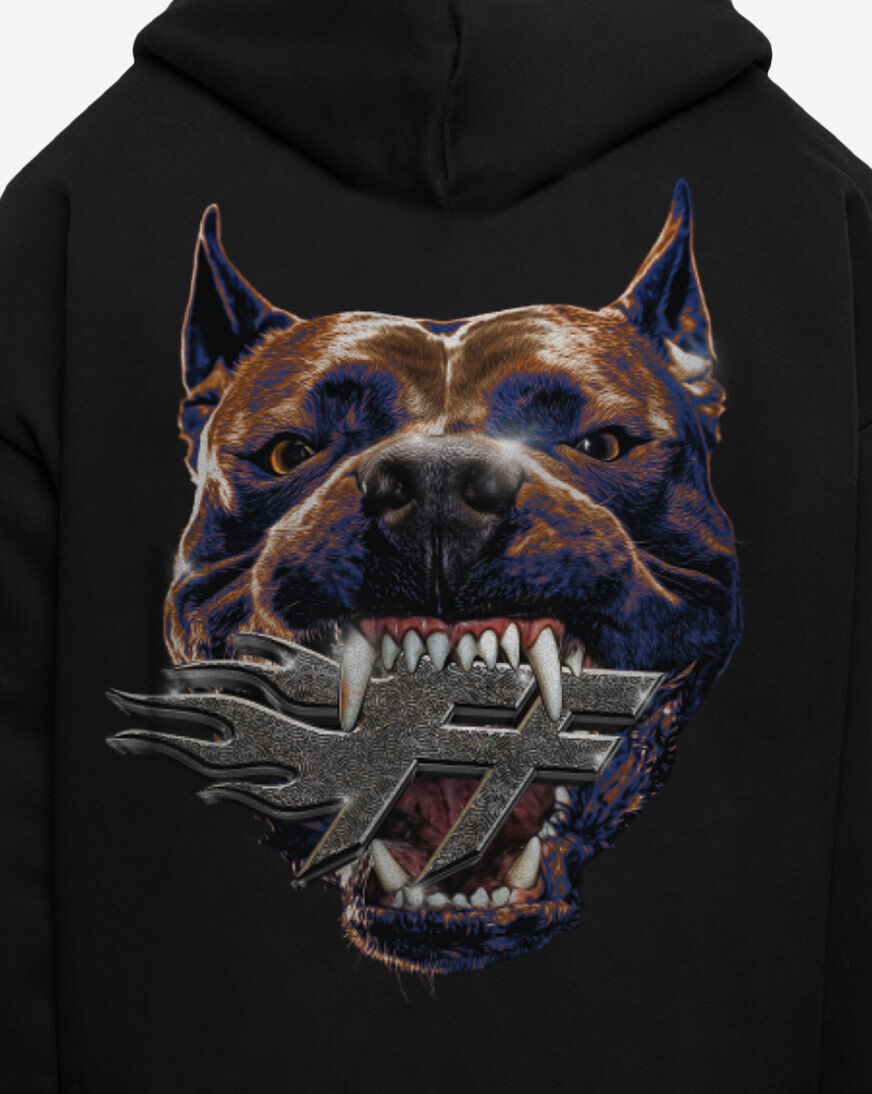 Shop Forgotten Faces Forgotten Pit Bull Hoodie FOFUS155-00007