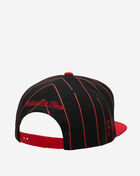 Chicago Bulls Team Pin Snapback Hat