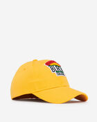 Retro Fitted Hat