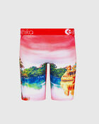 Big Burma Briefs