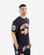 Detroit Tigers 313 Day Tee