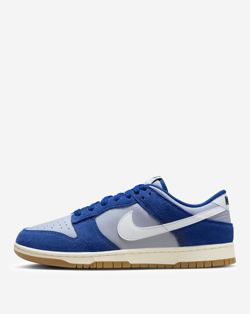 Nike Dunk Low Retro SE IB6399-003 Grey 1