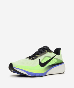 Pegasus 42