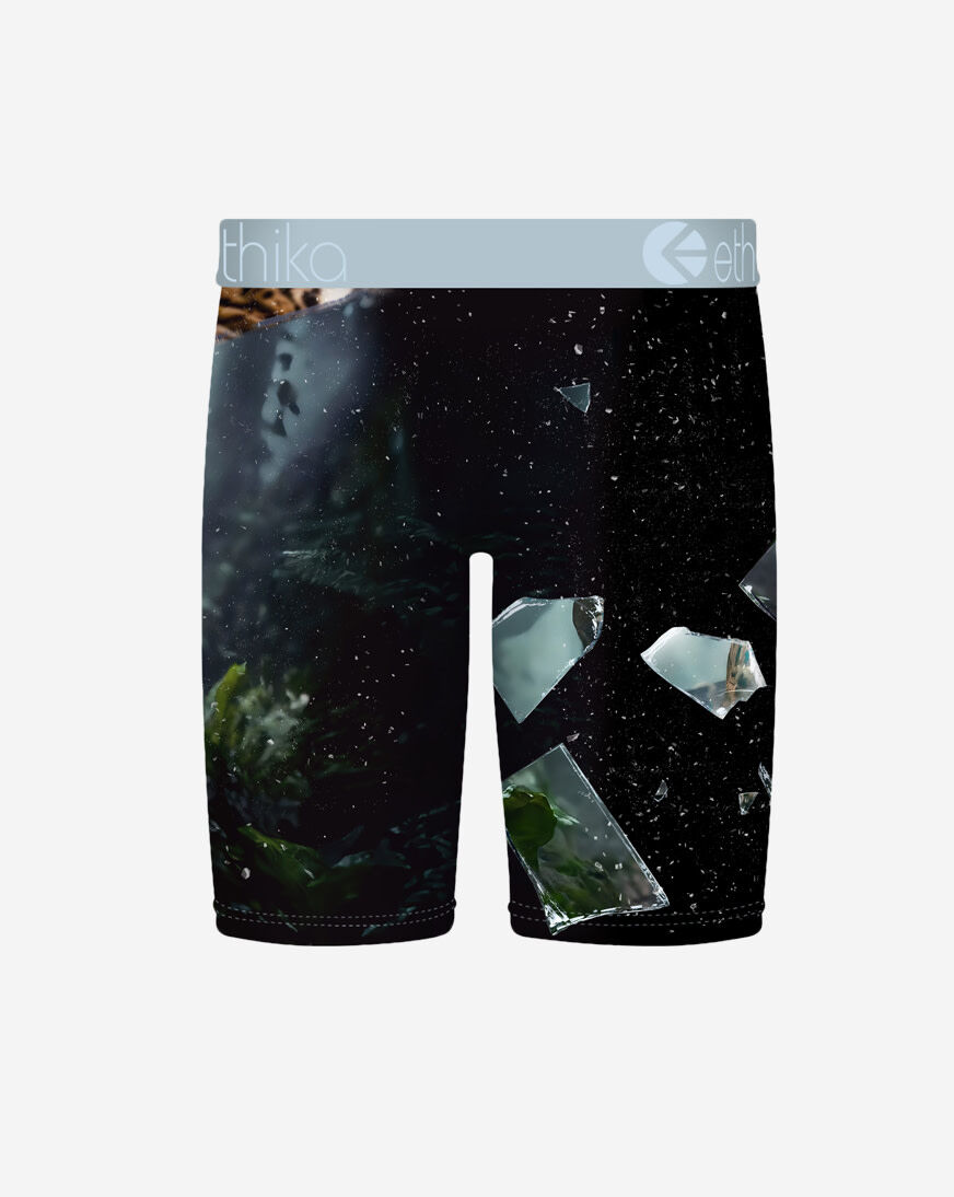 Shop Ethika Shatter Cat Briefs MFAAAI2513 multi | SNIPES USA