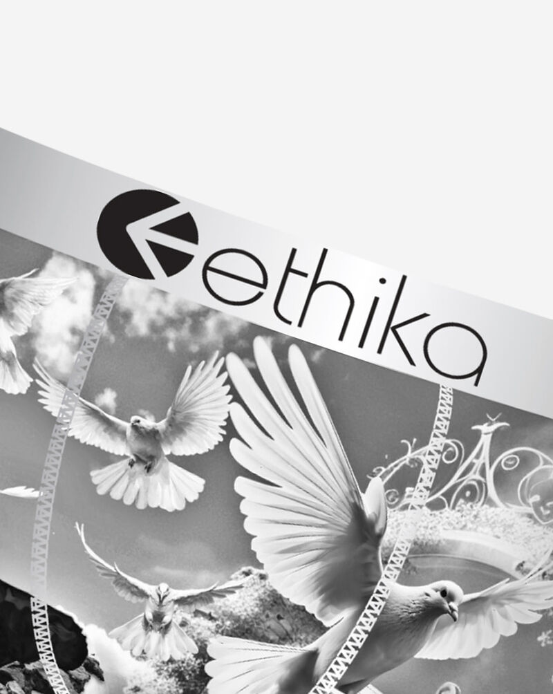 Ethika Free Ya Mind Briefs MLUS3606 Multi 3